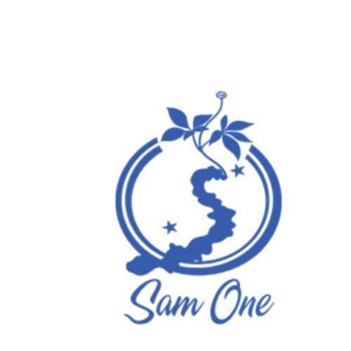 CÔNG TY CỔ PHẦN DƯỢC PHẨM SÂM VIỆT NAM