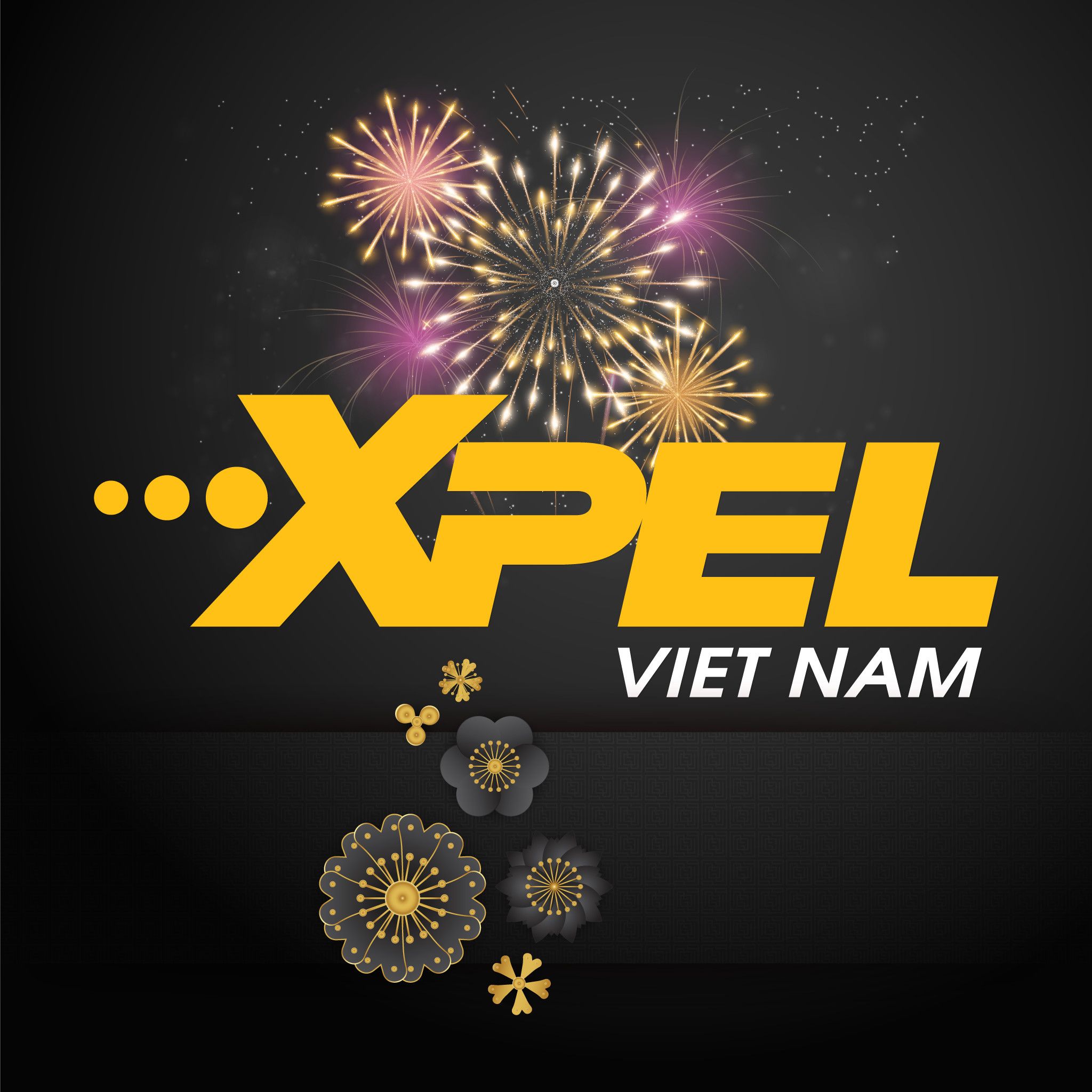 Công ty Cổ phần XVN (Xpel Việt Nam)