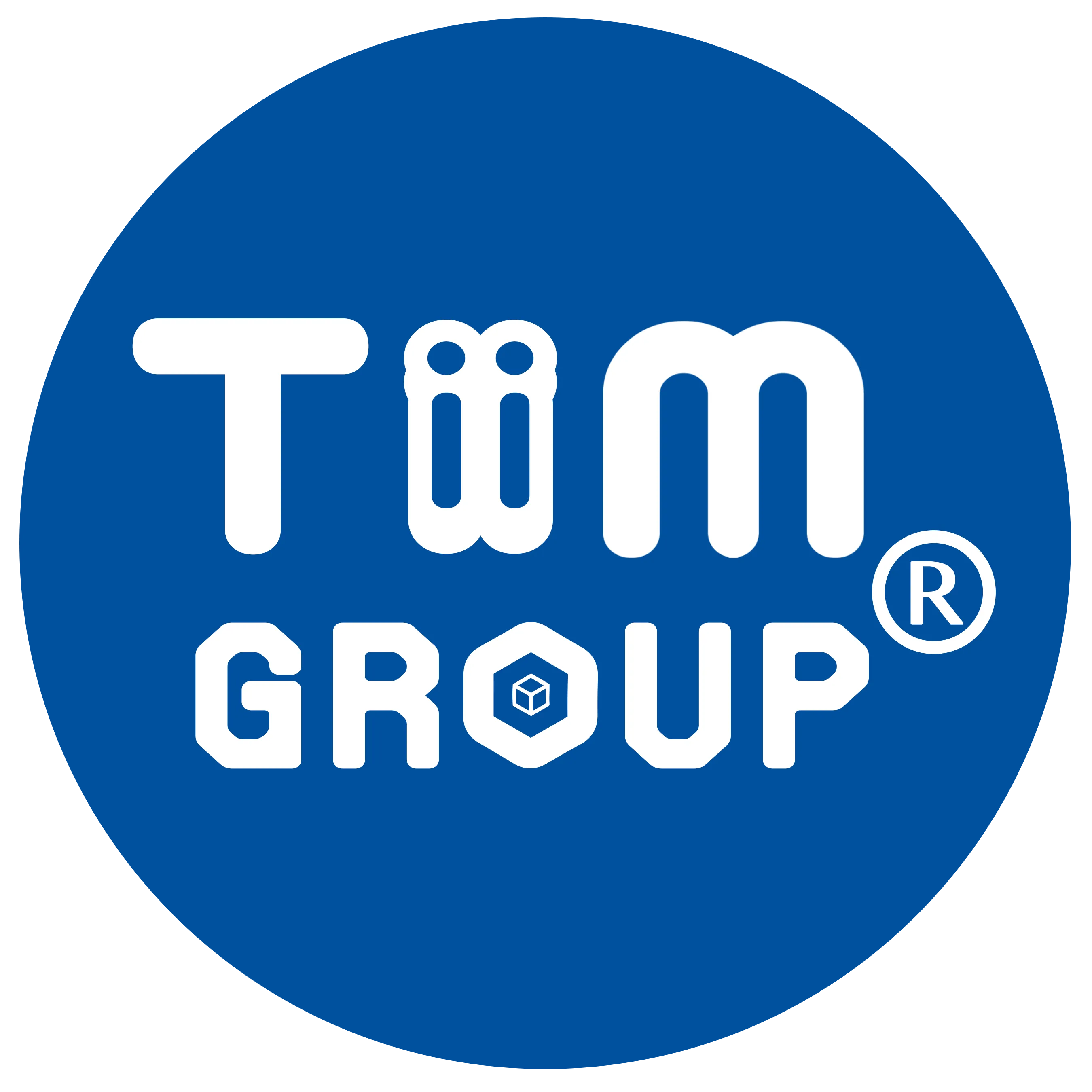 CÔNG TY TNHH TẬP ĐOÀN TIIM