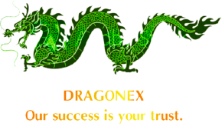 CHI NHÁNH CÔNG TY TNHH MTV DRAGONEX VIETNAM