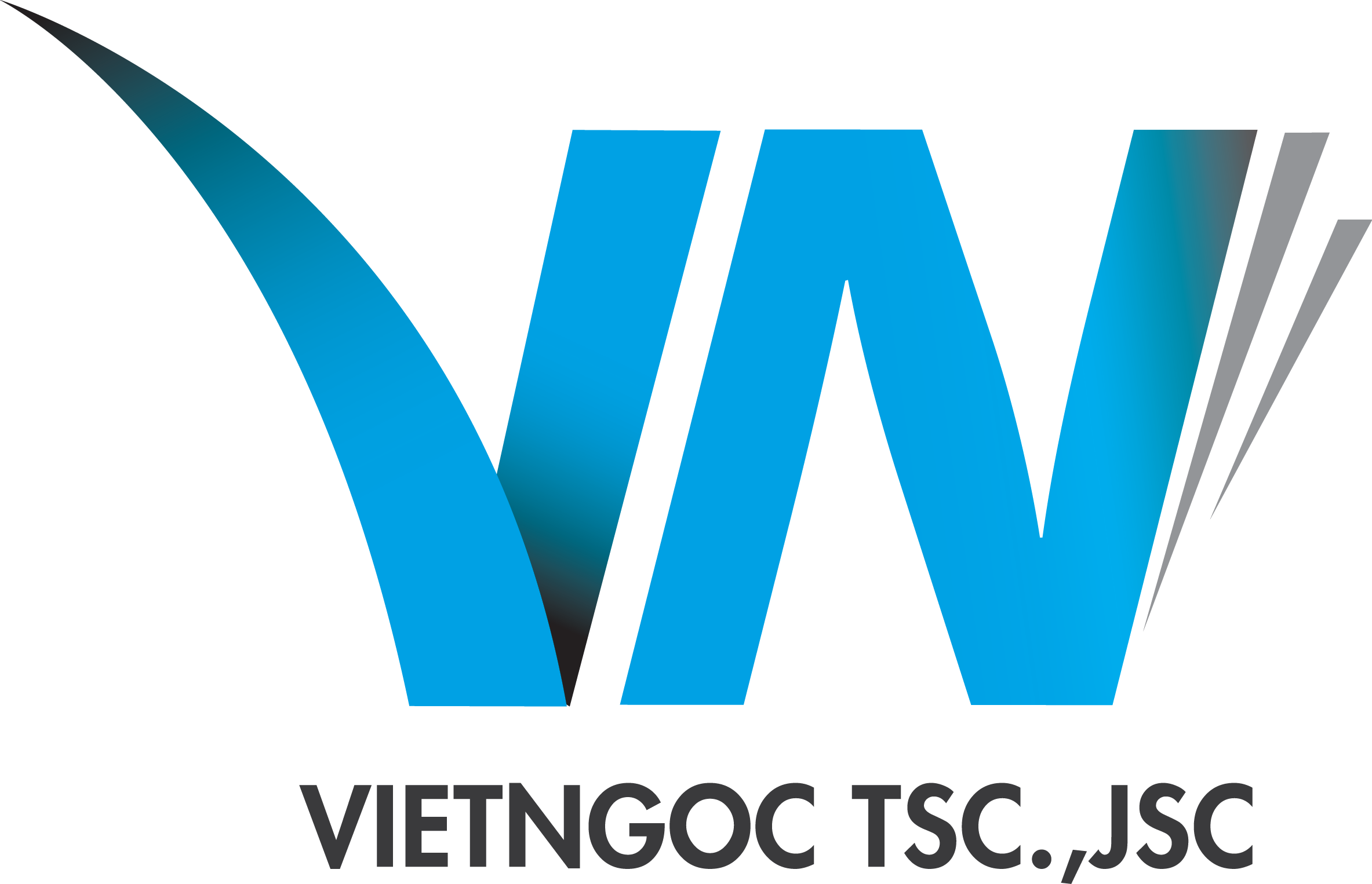 Công ty cổ phần nhân lực quốc tế Việt Ngọc
