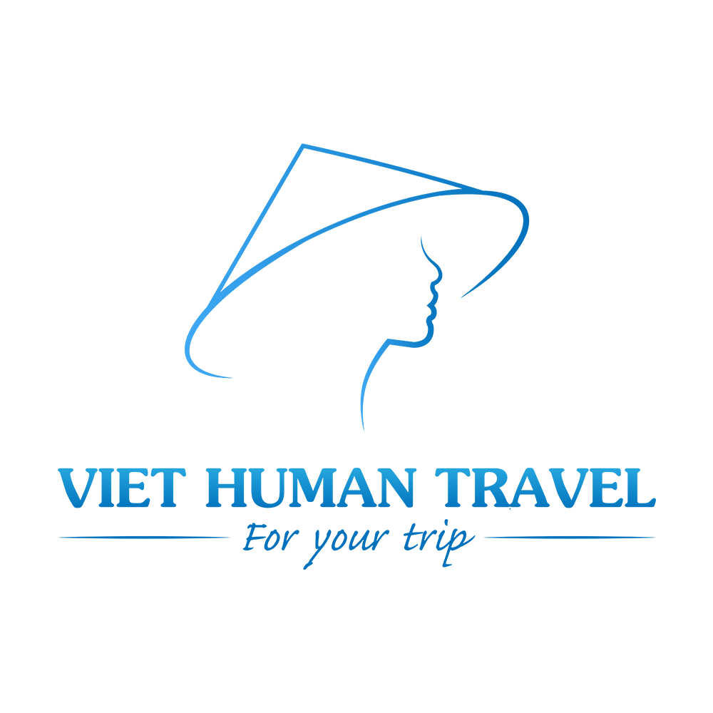Công Ty TNHH Việt Human