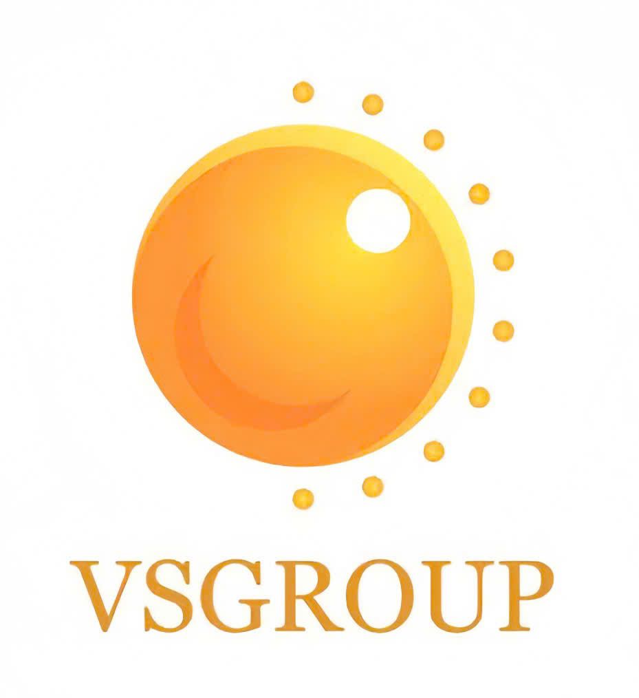 CÔNG TY CỔ PHẦN TẬP ĐOÀN VIỆT NAM - SINGAPORE