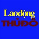Văn phòng Lao động Thủ đô