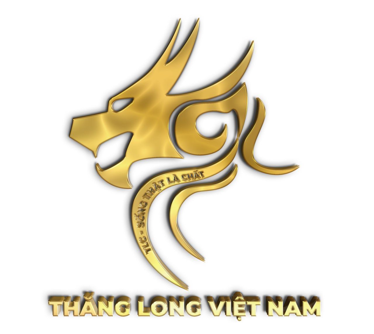 CÔNG TY CÔ PHẦN DỊCH VỤ VÀ GIẢI TRÍ THĂNG LONG VIỆT NAM