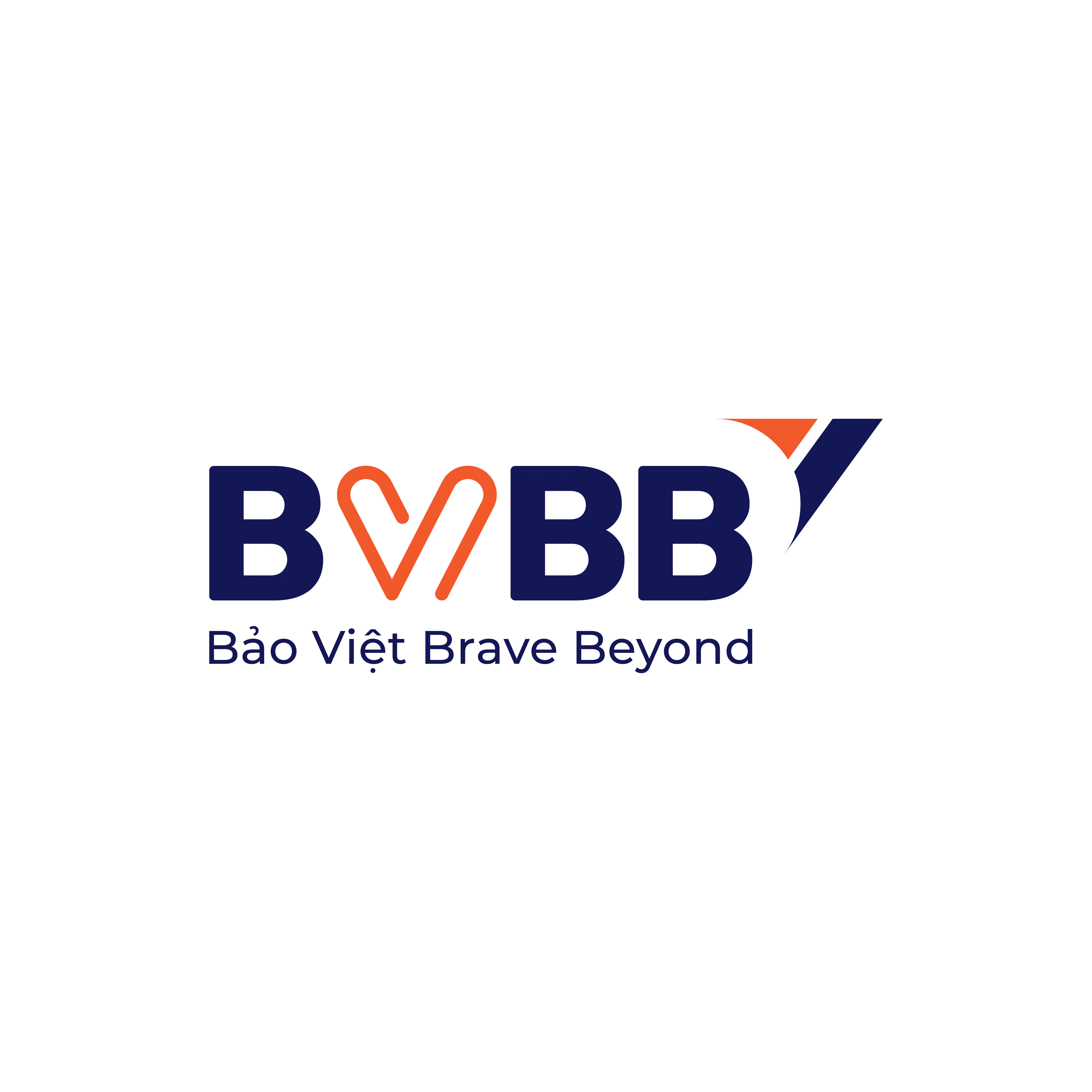 CÔNG TY CỔ PHẦN GIAO NHẬN QUỐC TẾ BẢO VIỆT BRAVE BEYOND