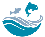 Việt Nam Fishes