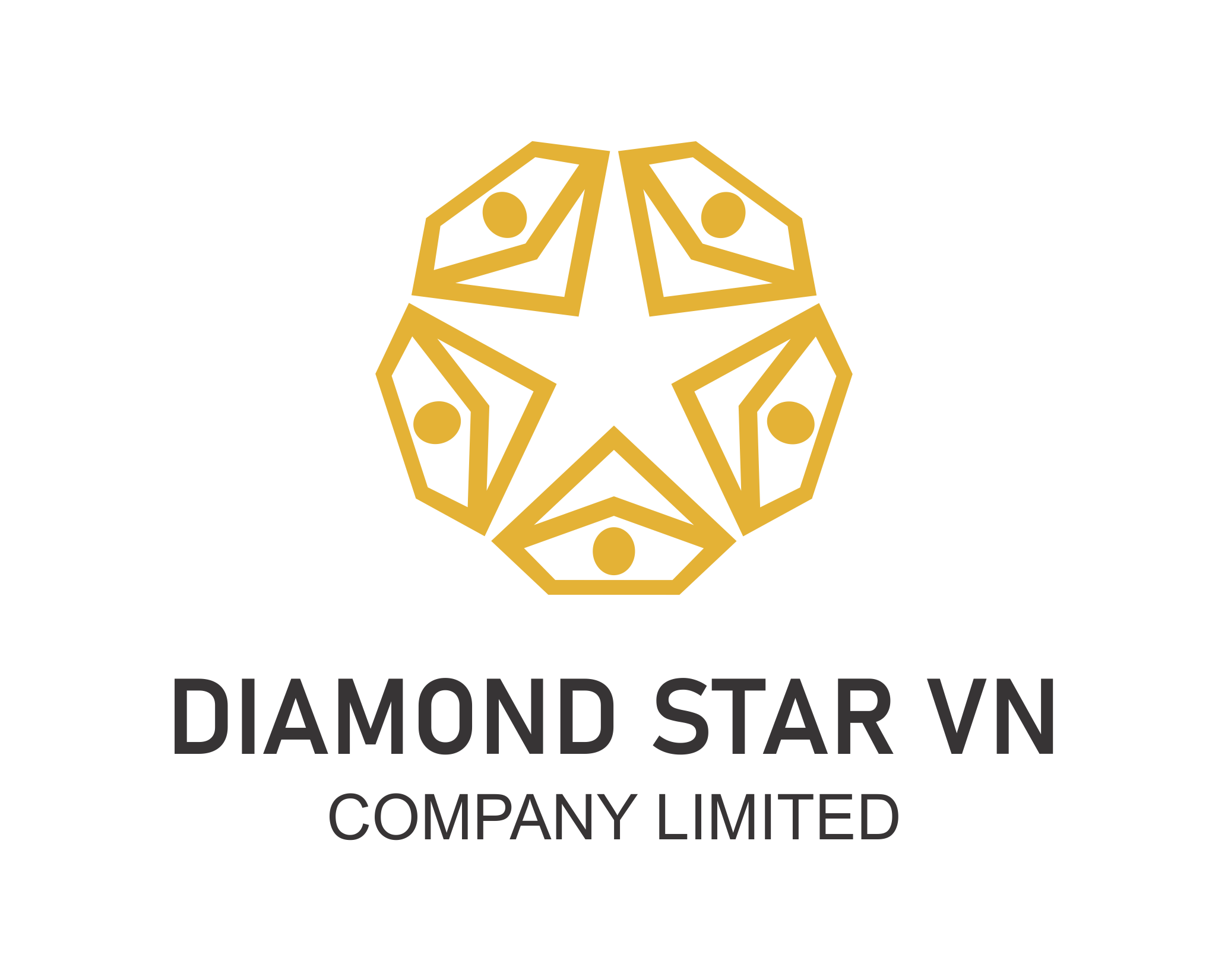 Công Ty TNHH Diamond Star VN
