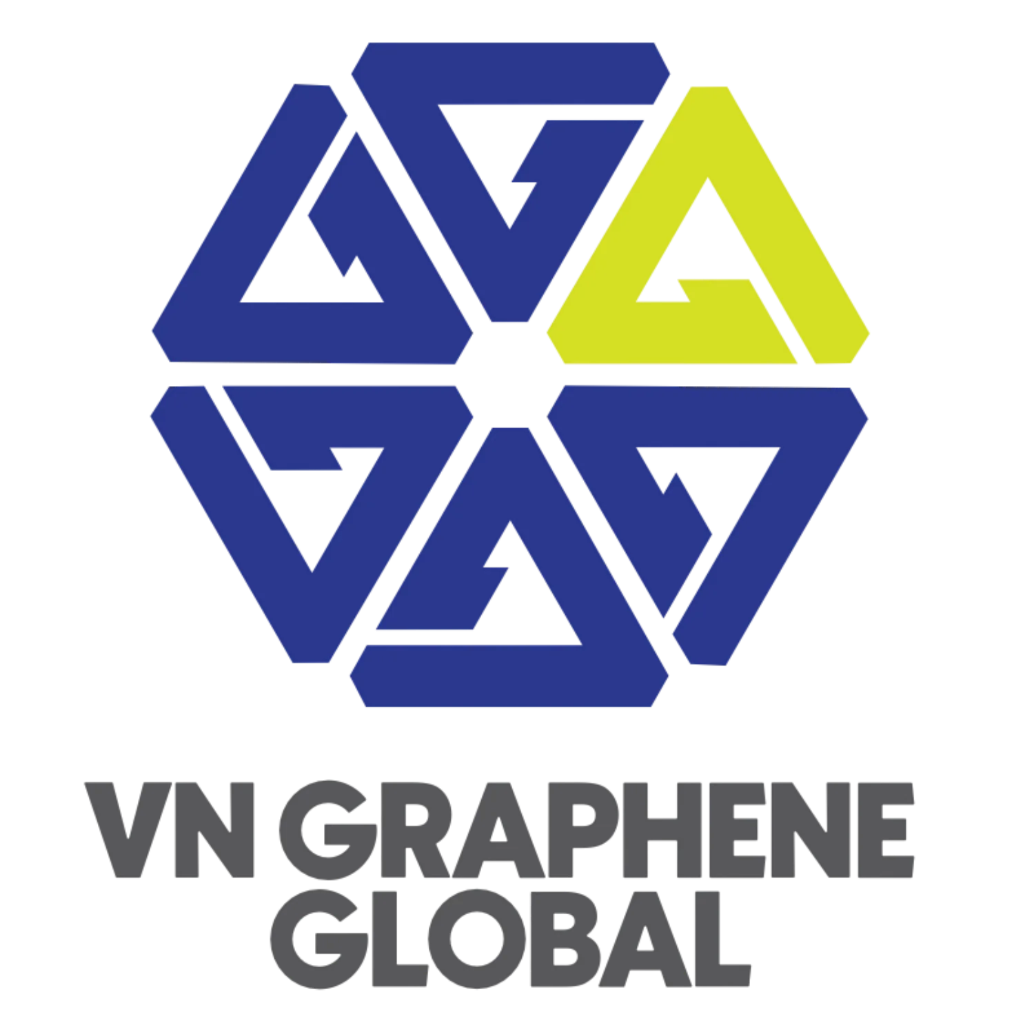 CÔNG TY CỔ PHẦN  VIỆT NAM GRAPHENE GLOBAL