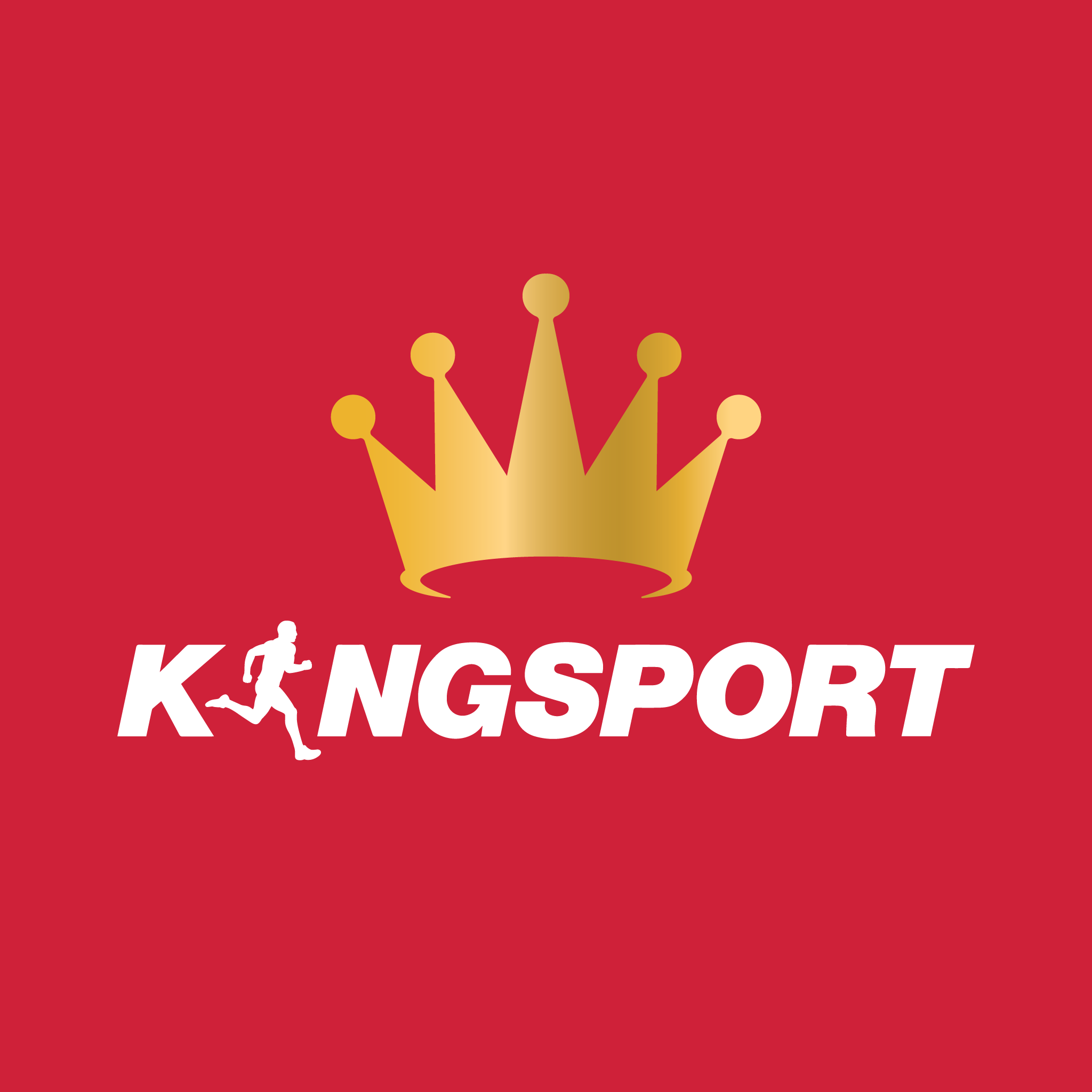 CHI NHÁNH CÔNG TY TNHH XUẤT NHẬP KHẨU PHÁT TRIỂN ĐÔNG DƯƠNG -CỬA HÀNG KINGSPORT THUẬN AN
