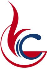 VNC JSC