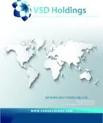 VSD Holdings