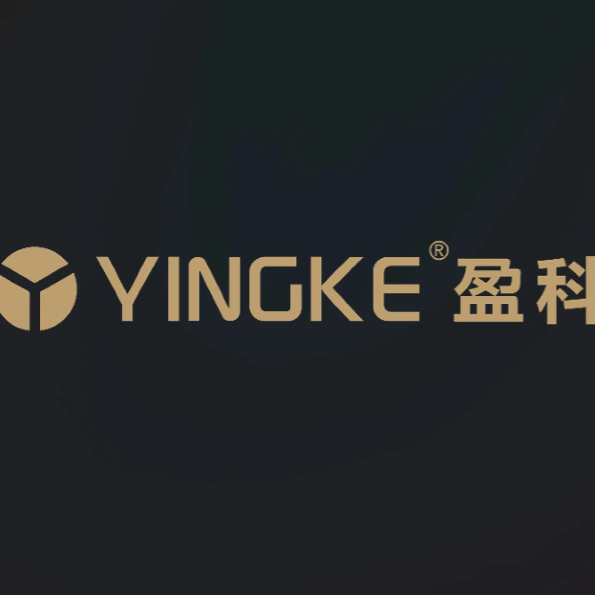 Logo CÔNG TY TNHH YINGKE VIỆT NAM