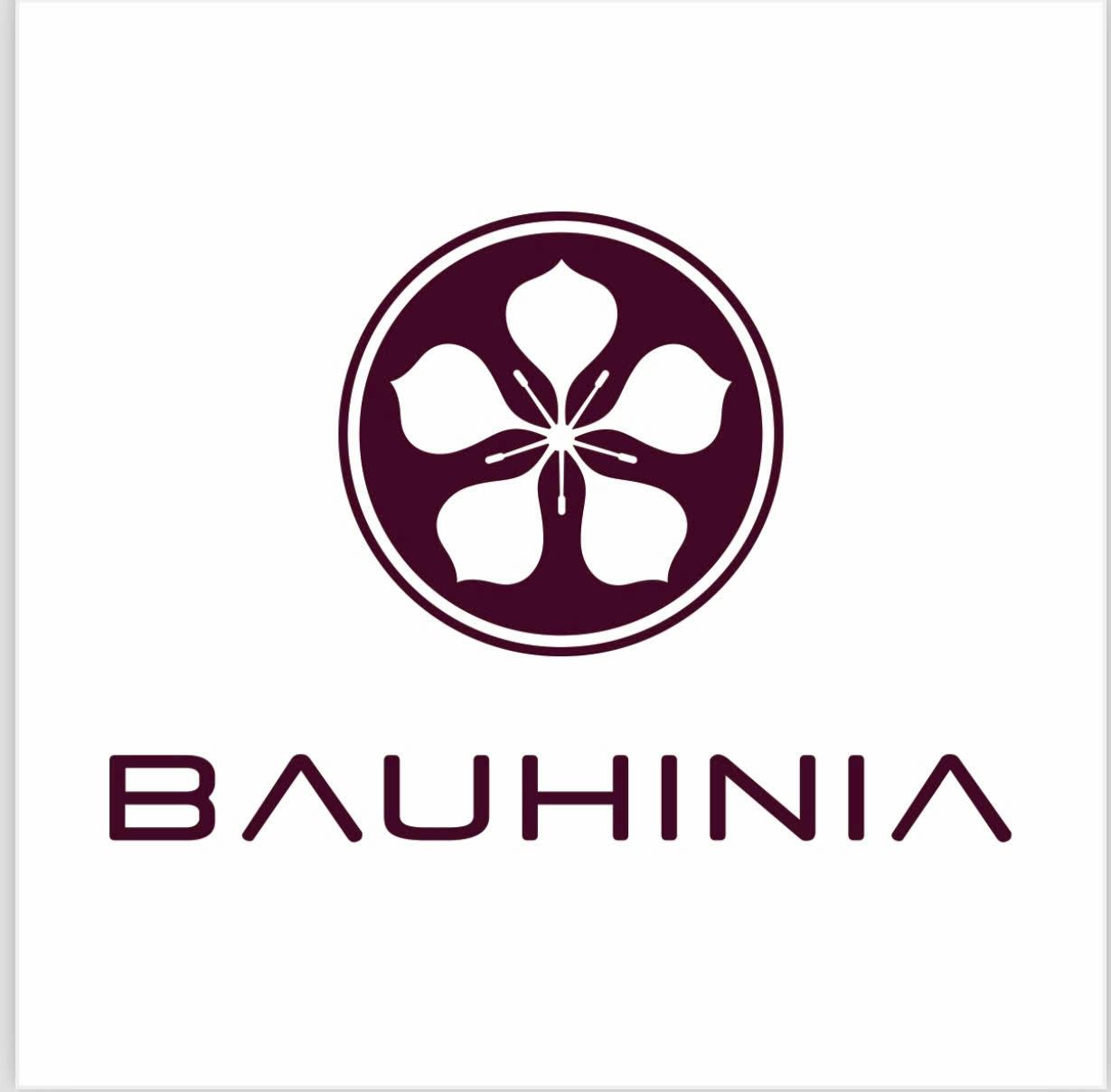 CTY TNHH BAUHINIA DECORATION MATERIALS VIỆT NAM