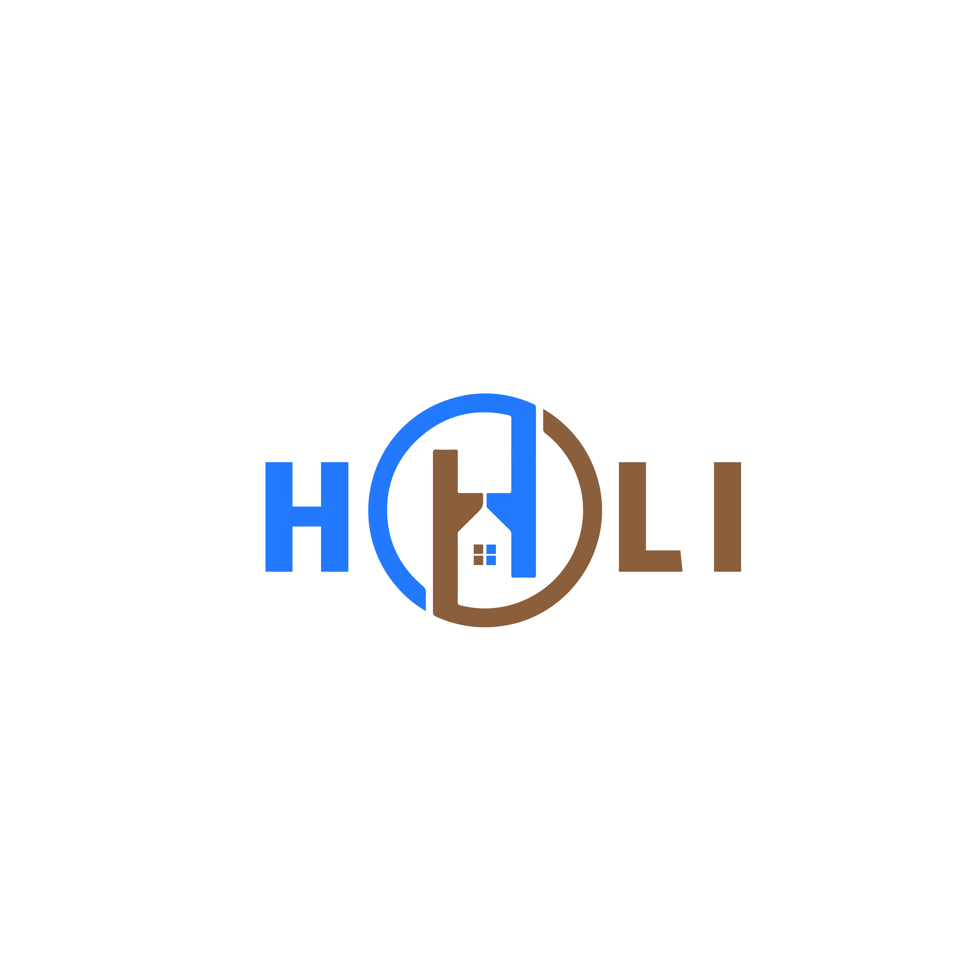Công ty Dịch vụ Công nghệ HoLi