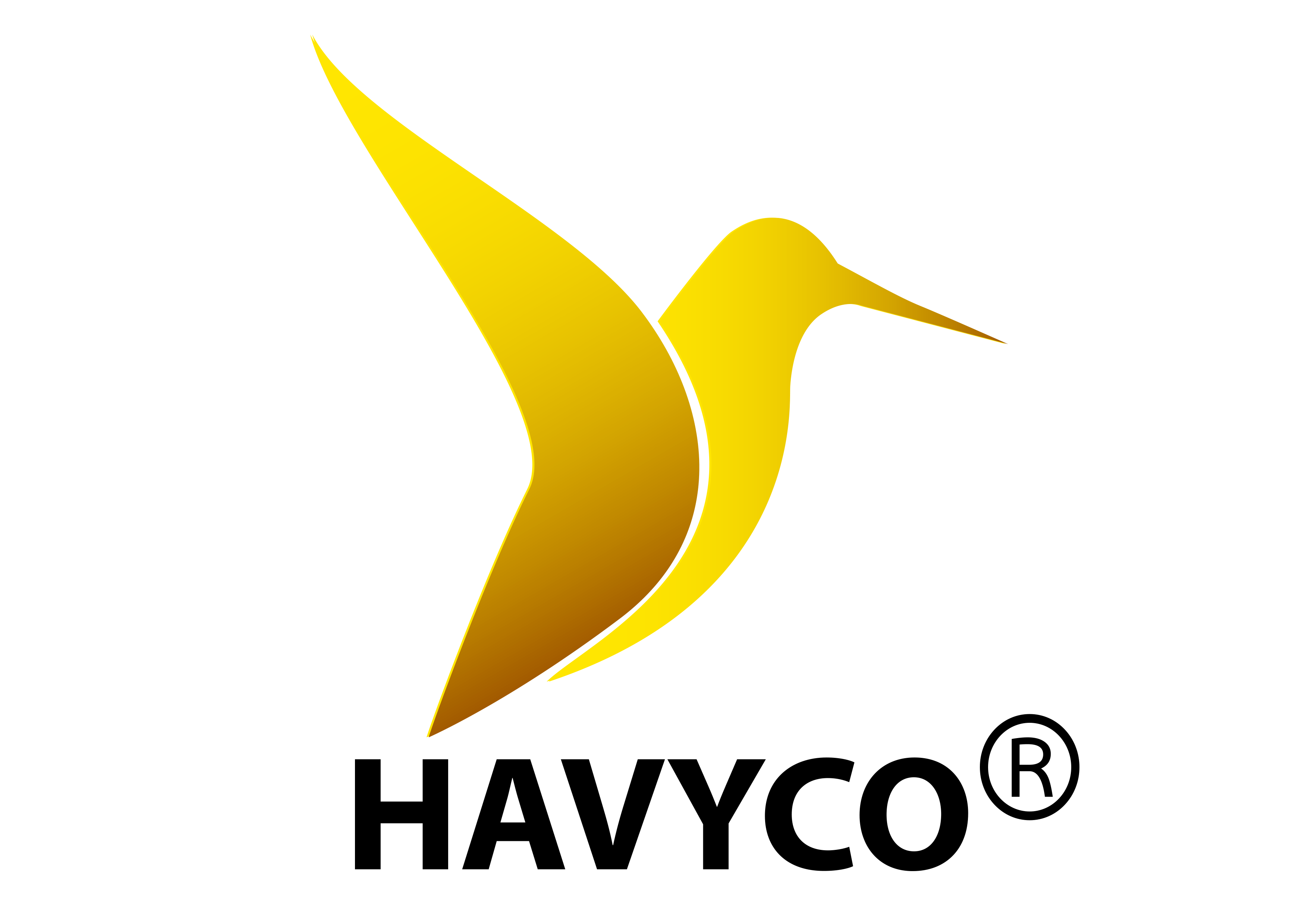 HAVYCO GROUP
