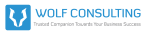 WOLF CONSULTING