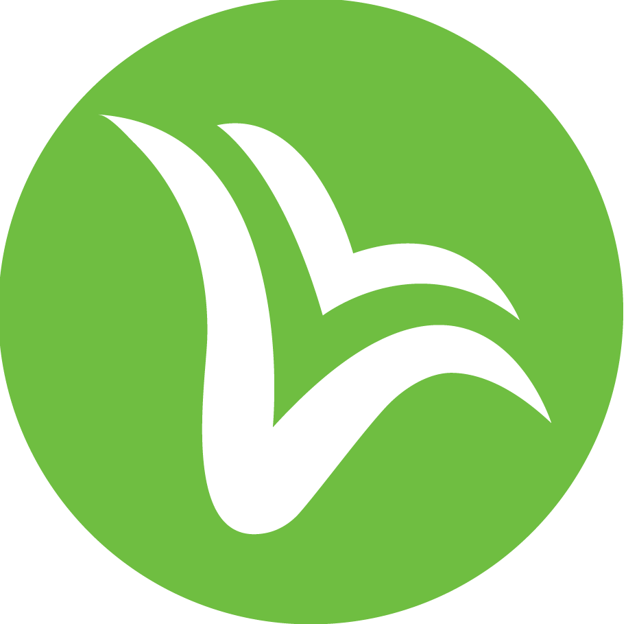 Kế toán Việt Hưng
