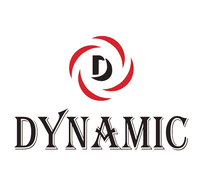 HỆ THỐNG DYNAMIC VIỆT NAM