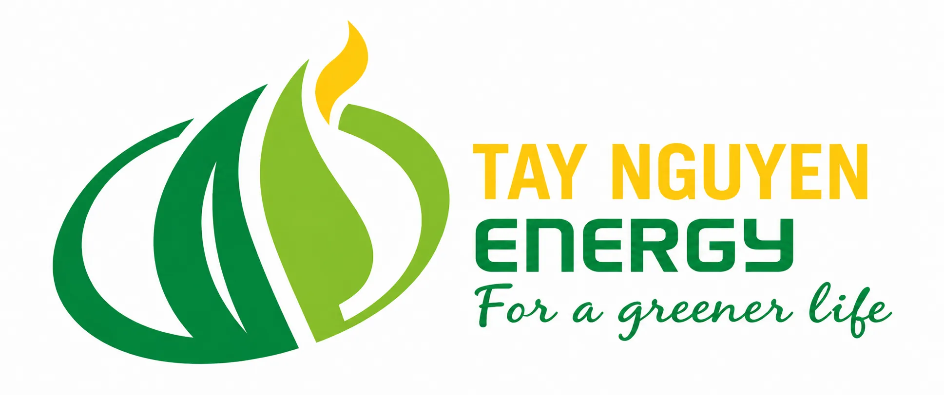 CÔNG TY CỔ PHẦN NĂNG LƯỢNG TÂY NGUYÊN