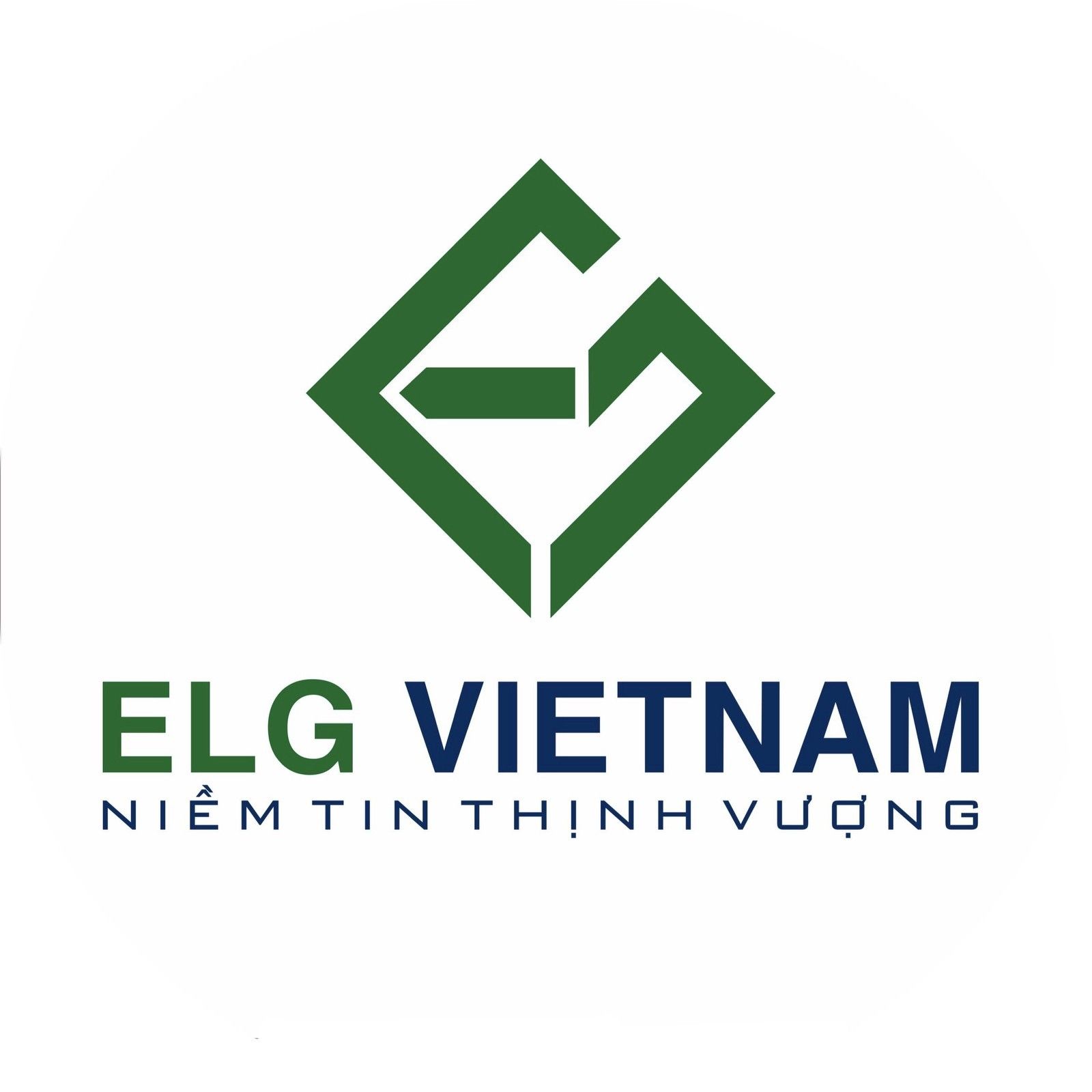 CÔNG TY TNHH ĐẦU TƯ BẤT ĐỘNG SẢN ELG VIỆT NAM