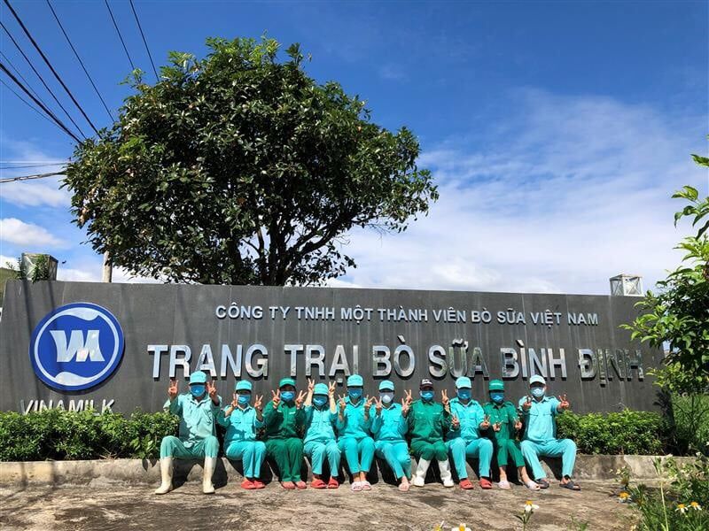 Trang trại Bò sữa Bình Định