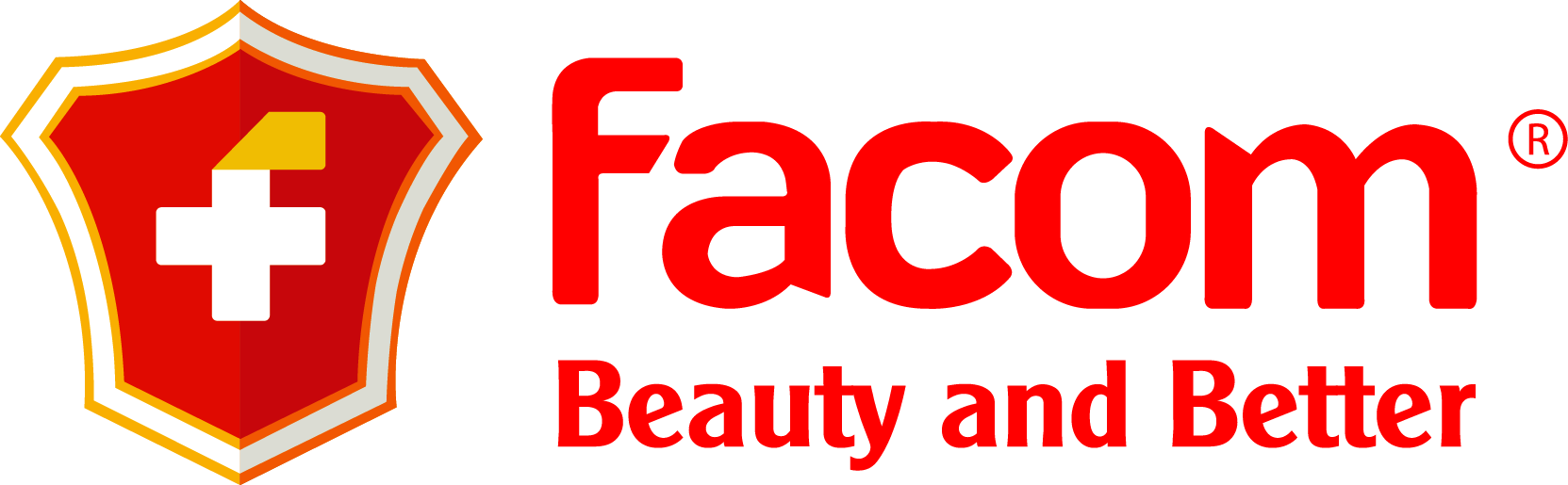 CÔNG TY CỔ PHẦN TẬP ĐOÀN FACOM