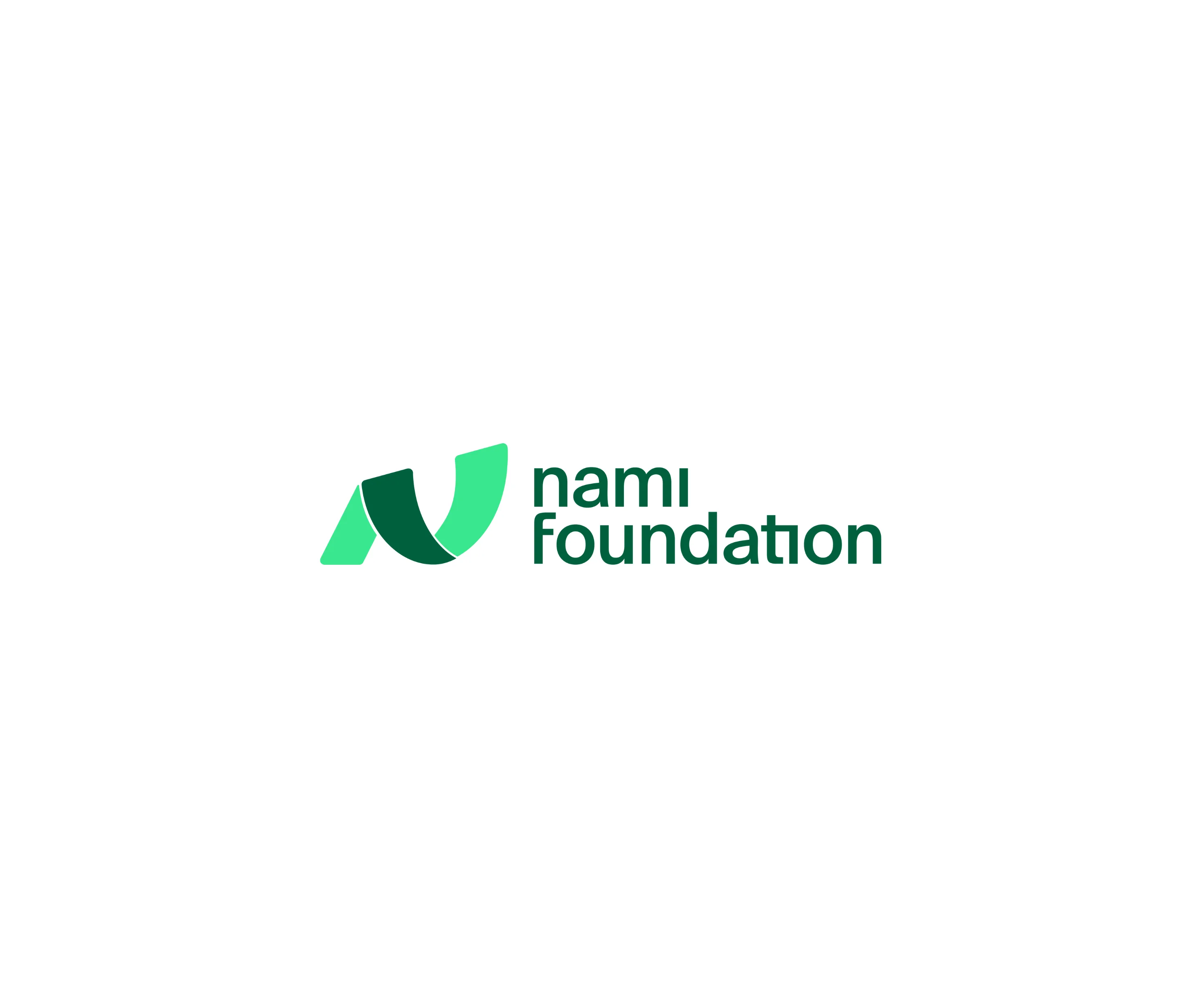 CÔNG TY CỔ PHẦN ĐẦU TƯ NGHIÊN CỨU PHÁT TRIỂN CÔNG NGHỆ CAO NAMI CORP