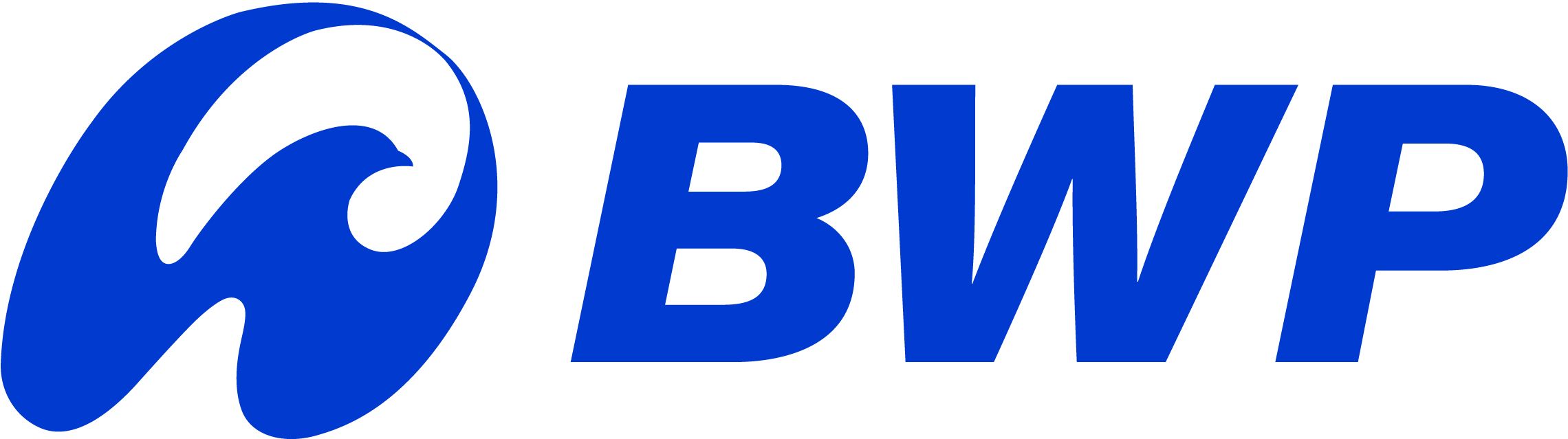 Công ty Cổ phần Bluewave Partners