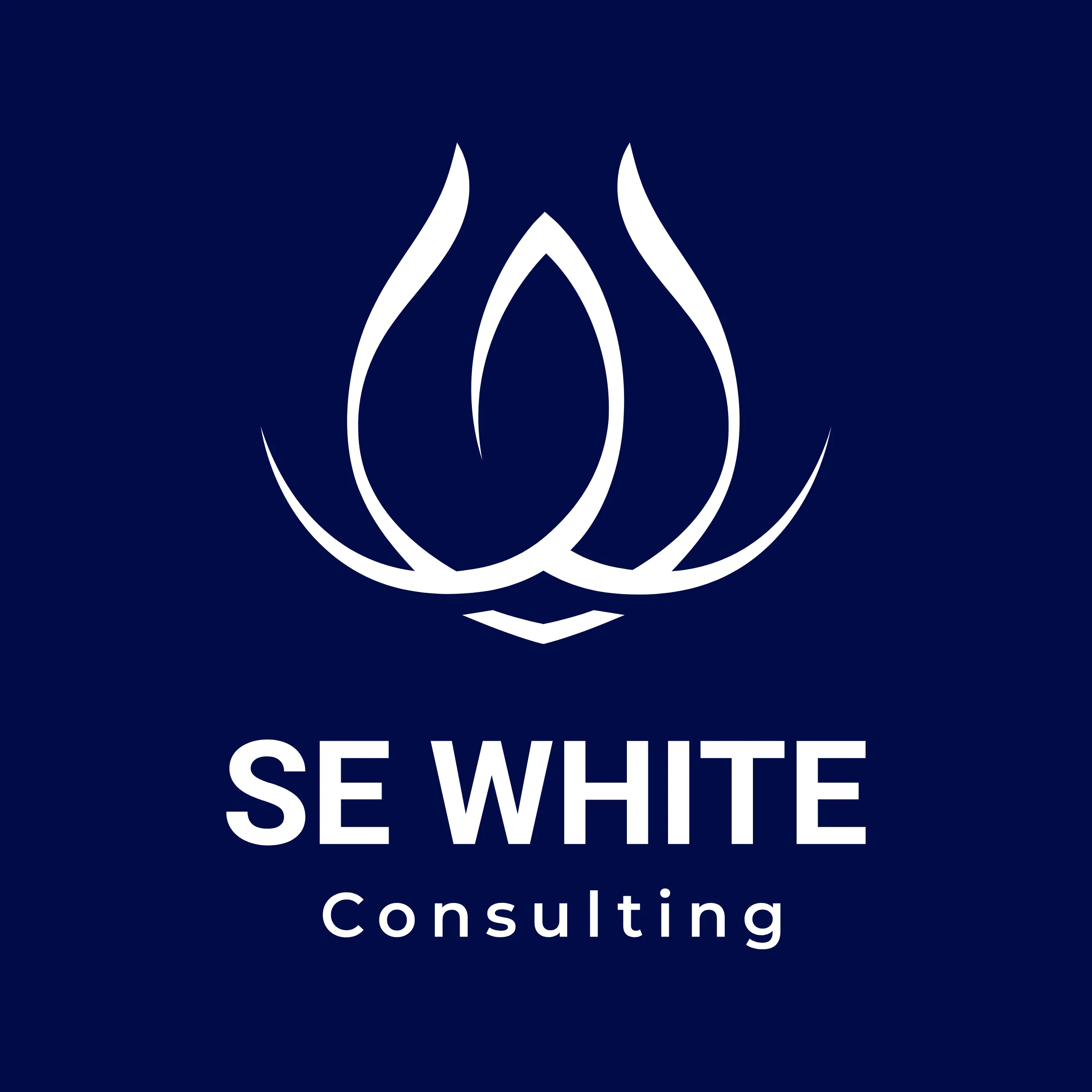 CÔNG TY TNHH SE WHITE CONSULTING