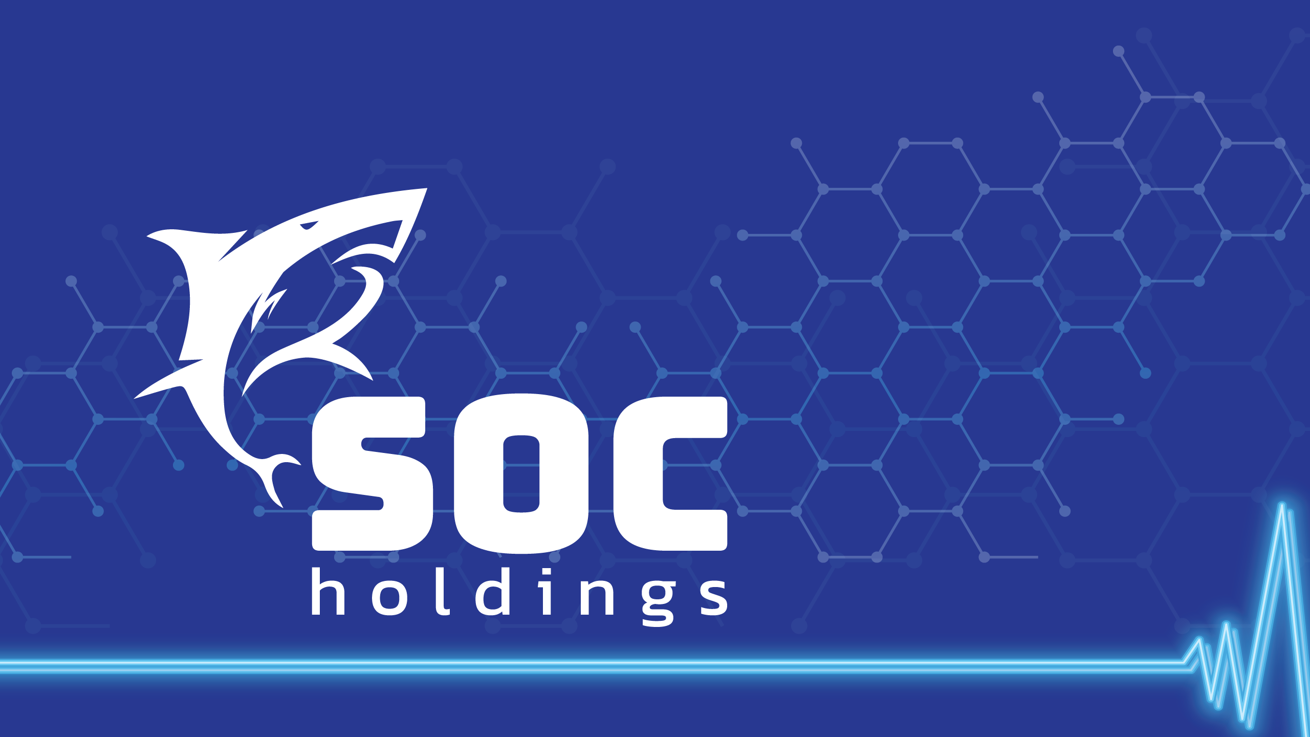 Công ty CP Soc Holdings