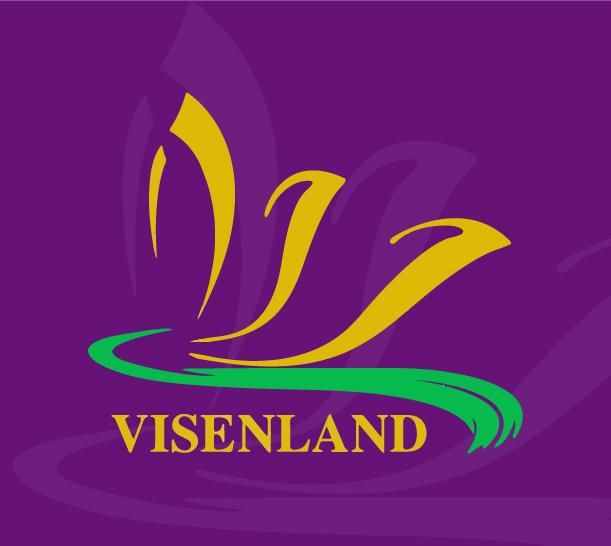 Công ty Cổ phần Đầu tư và Phát triển Visen Group