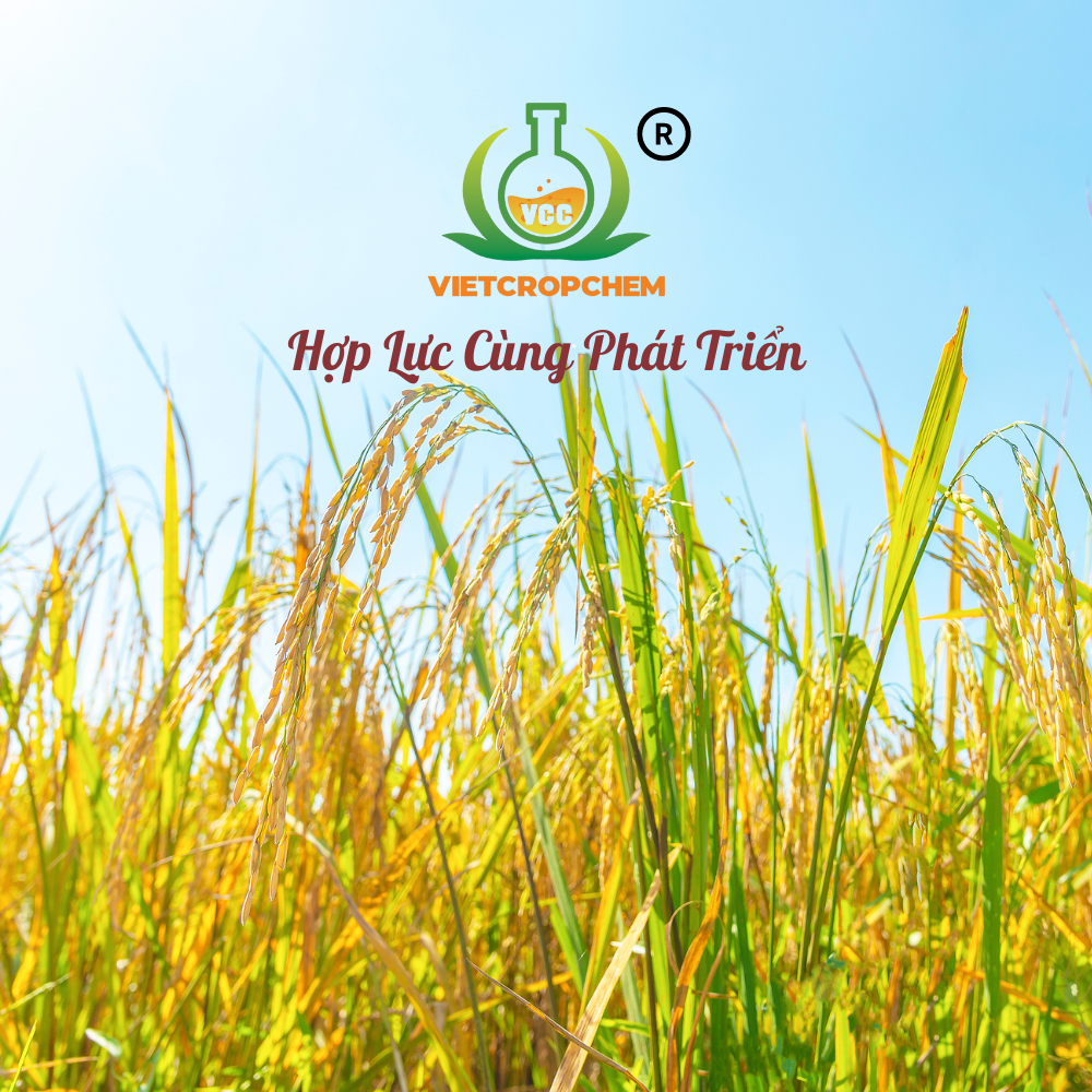 CÔNG TY TNHH THƯƠNG MẠI - DỊCH VỤ VIETCROPCHEM