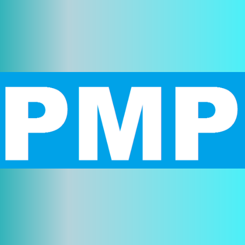 Công ty TNHH Công Nghệ PMP