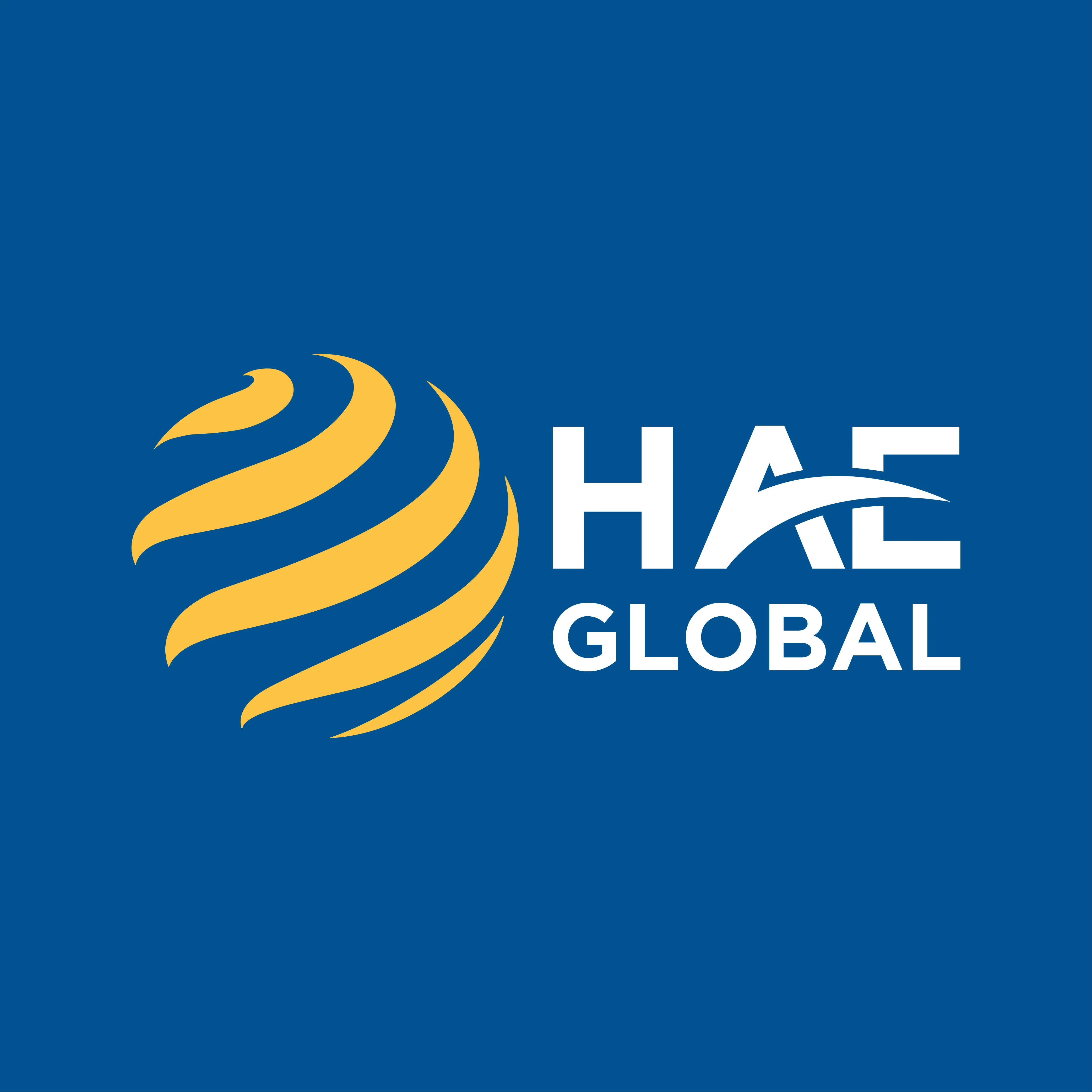 CÔNG TY TNHH TM DV HAE GLOBAL