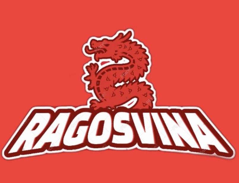 CÔNG TY CỔ PHẦN XNK RAGOS VINA