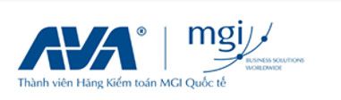 Công ty TNHH Kiểm toán và Thẩm định giá Việt Nam