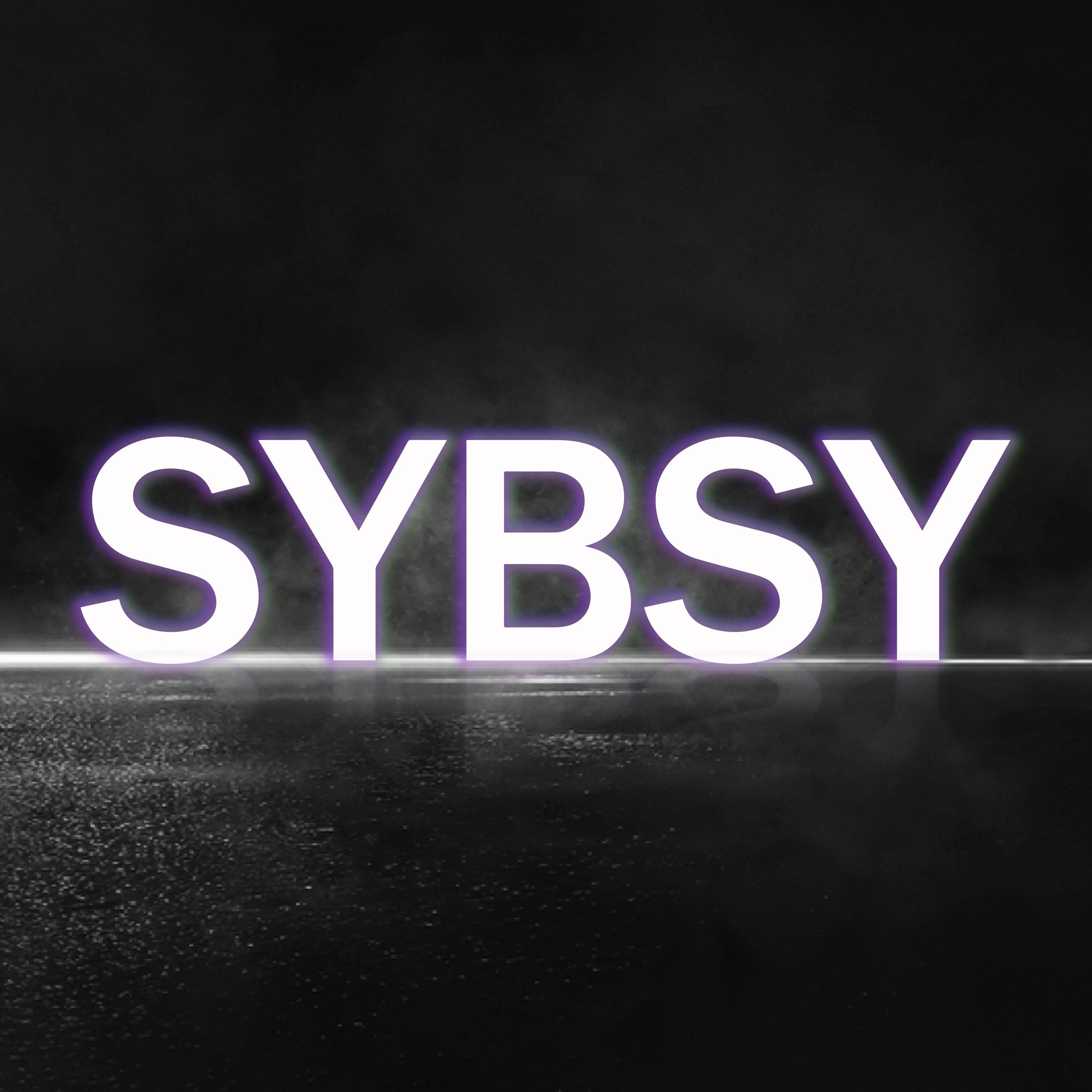 SYBSY COMPANY LIMITED