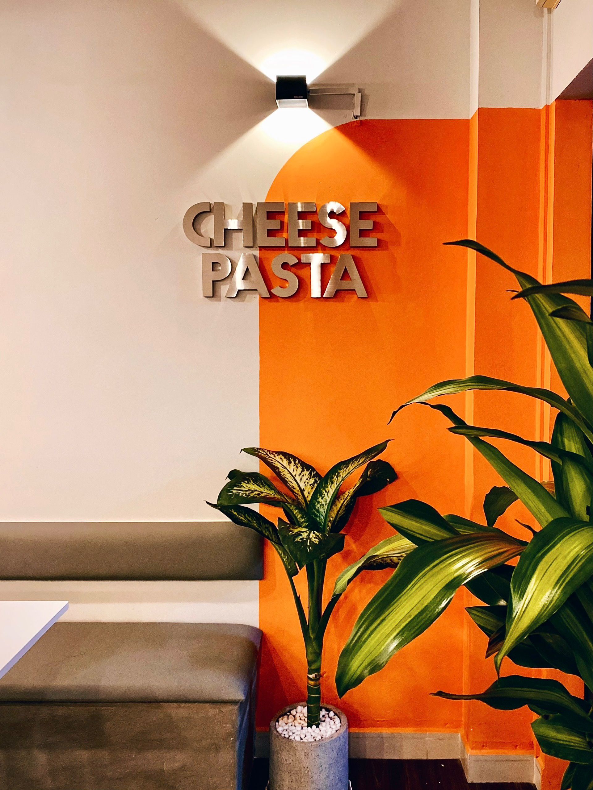 Cheese Pasta