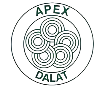 CÔNG TY TNHH DỆT MAY & VỚ APEX