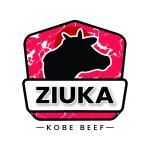 Ziuka Invesment