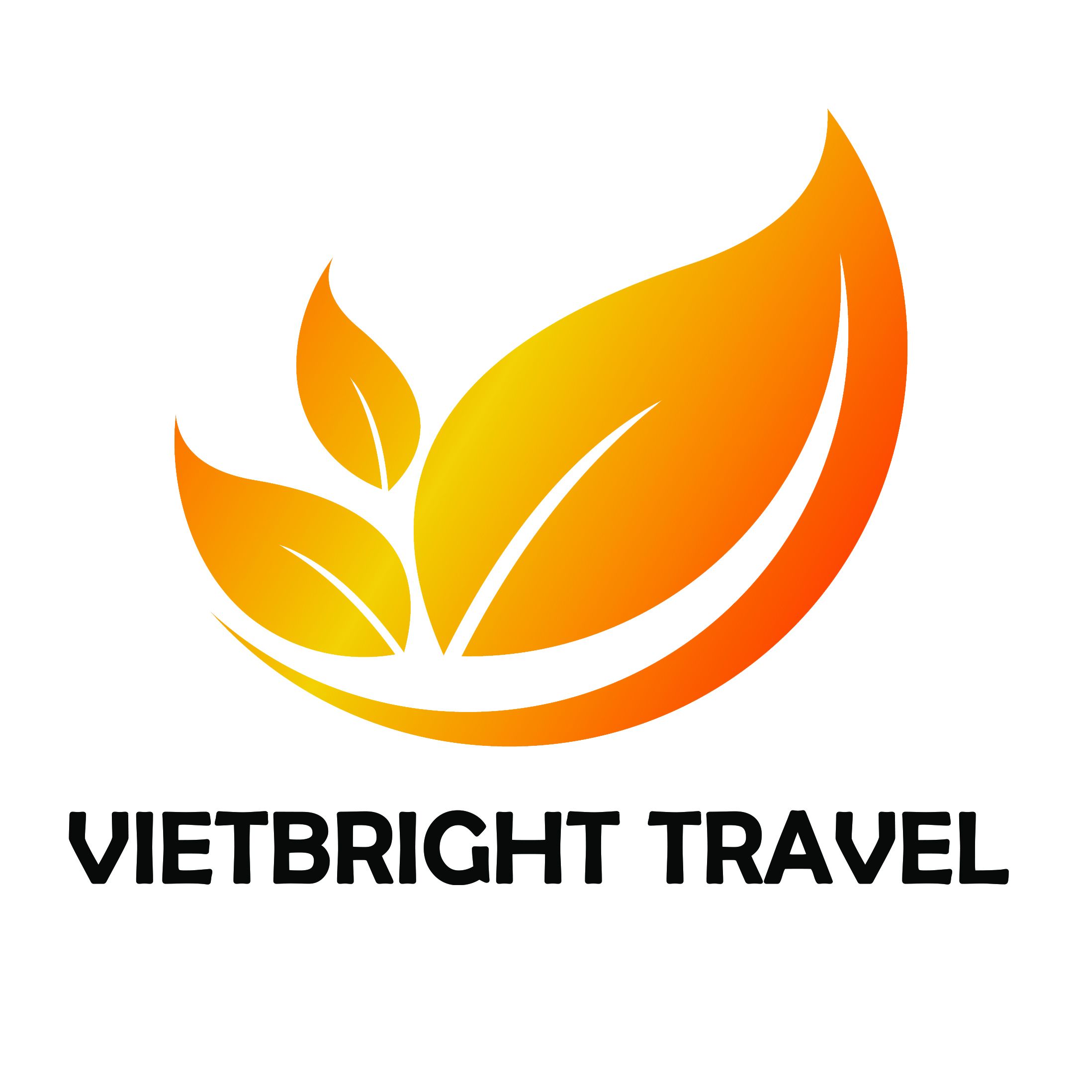 CÔNG TY CỔ PHẦN THƯƠNG MẠI VÀ DU LỊCH VIỆT BRIGHT
