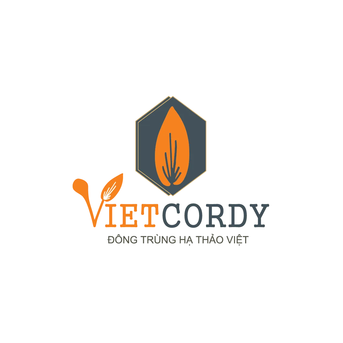 Công ty Cổ phần Đầu tư và Thương mại Vietcordy