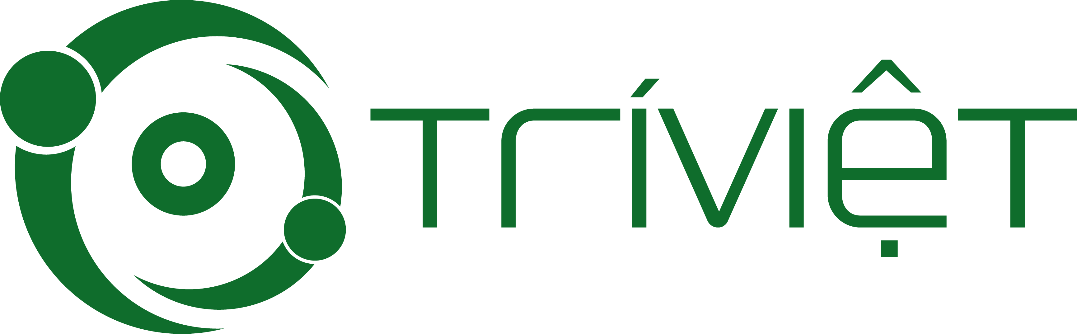 CÔNG TY TNHH TRÍ VIỆT QUỐC TẾ